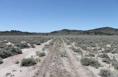Moon Valley Ranch Tract 442