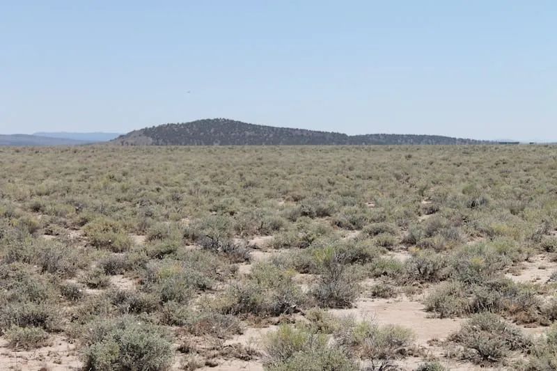 Decorative background for Moon Valley Ranch Tract 442 image 5