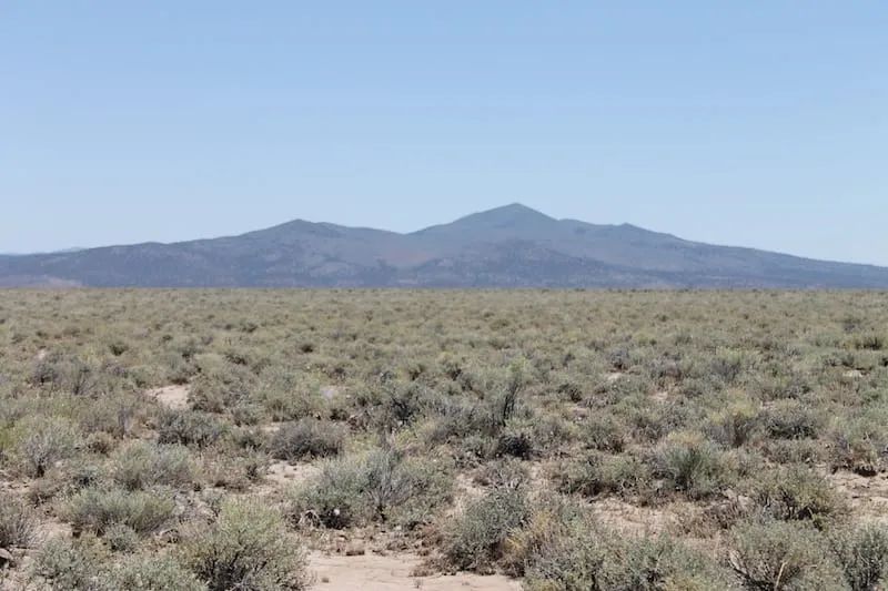 Decorative background for Moon Valley Ranch Tract 442 image 6