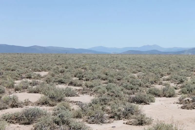 Decorative background for Moon Valley Ranch Tract 442 image 7