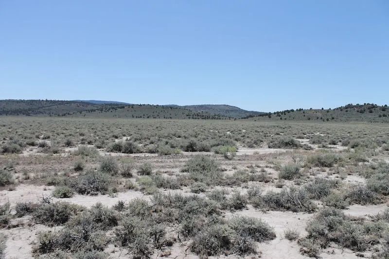Decorative background for Moon Valley Ranch Tract 442 image 8