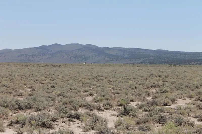 Decorative background for Moon Valley Ranch Tract 442 image 9