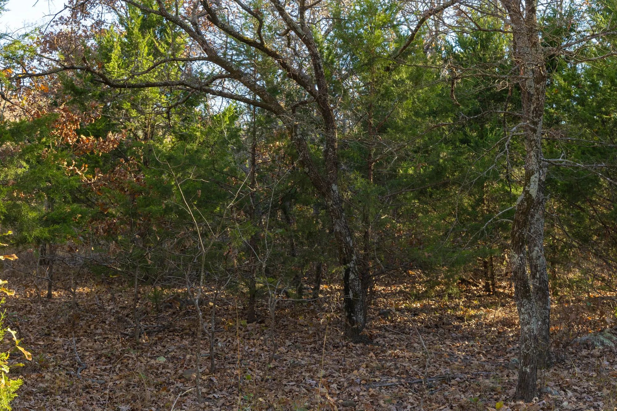 Harmony Hills Tract 51 in Pittsburg County, OK