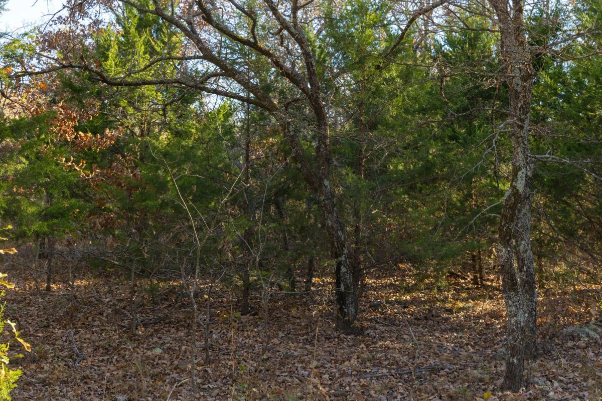 Harmony Hills Tract 51 - Image 2