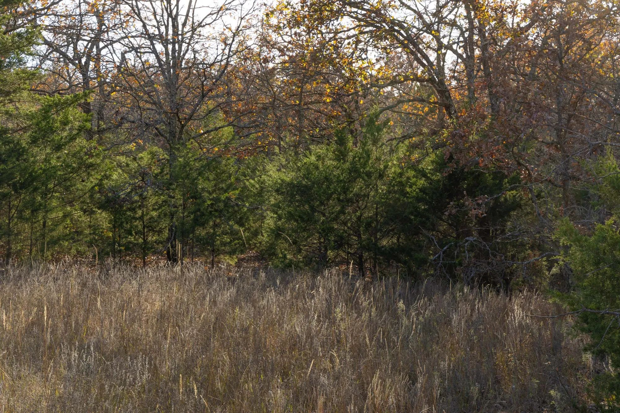 Harmony Hills Tract 51 in Pittsburg County, OK