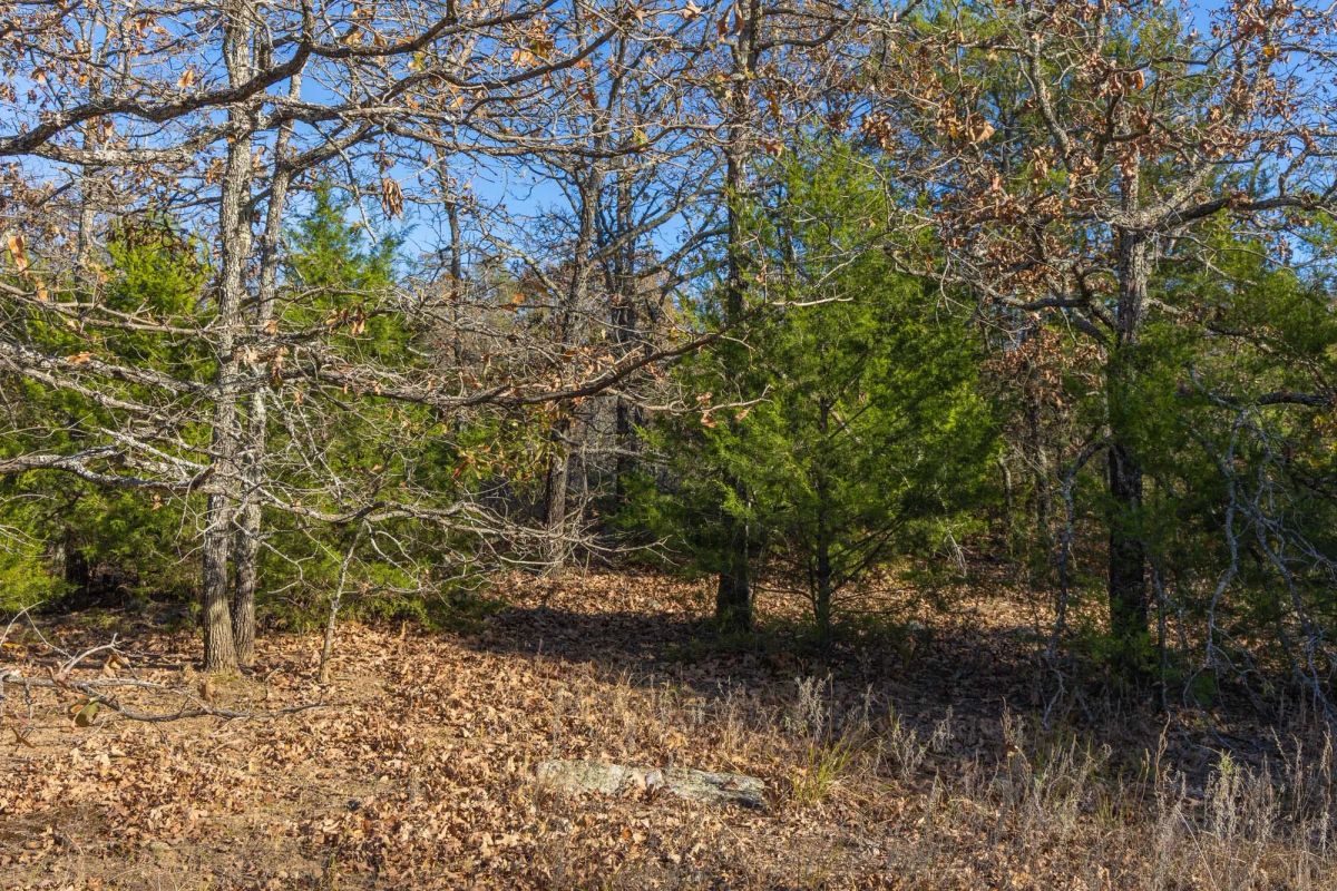 Decorative background for Harmony Hills Tract 51 image 8