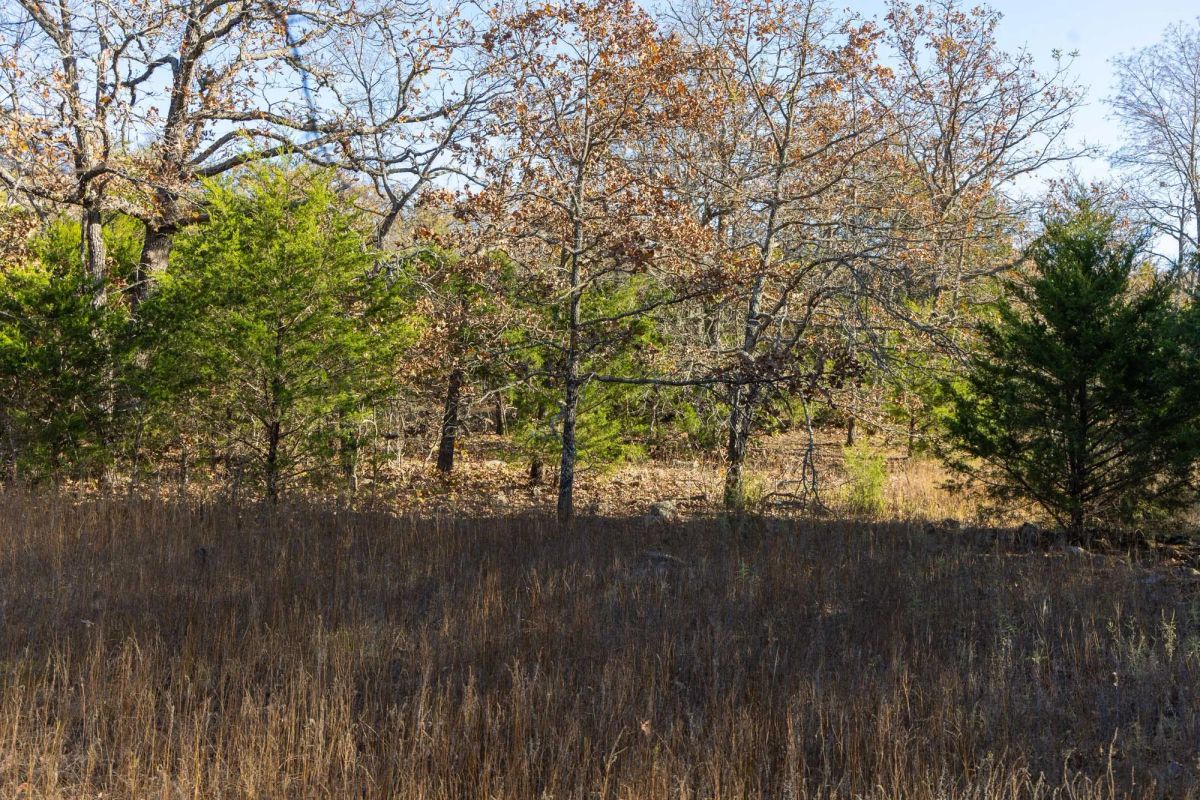 Decorative background for Harmony Hills Tract 51 image 11