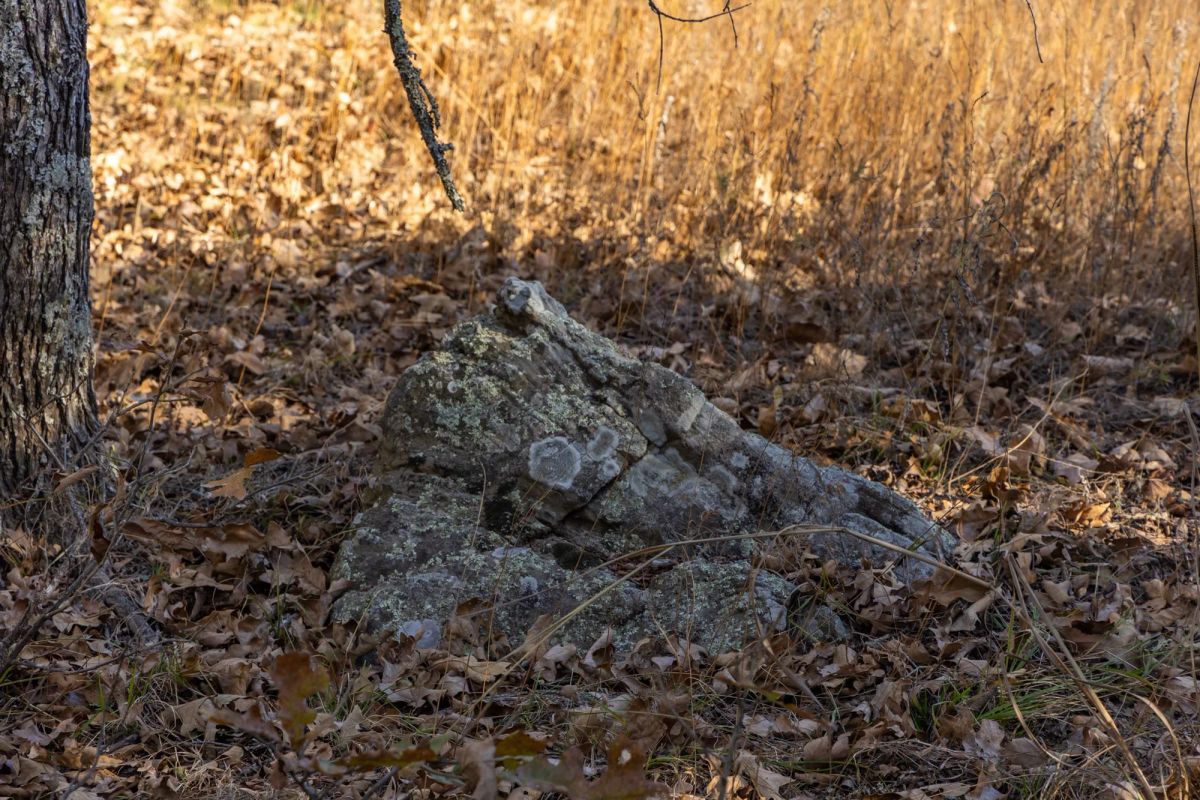 Decorative background for Harmony Hills Tract 51 image 12