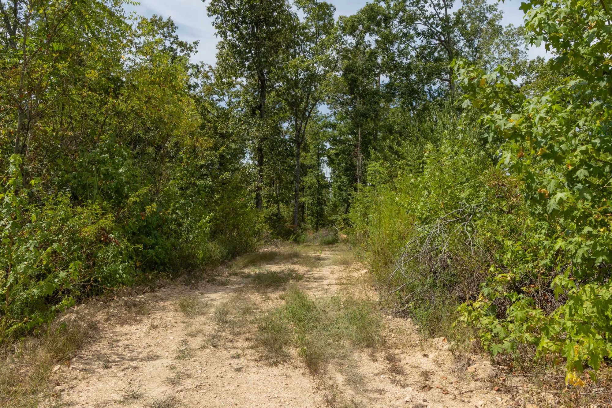 Big White Oak Tract 77 in Perry County, TN