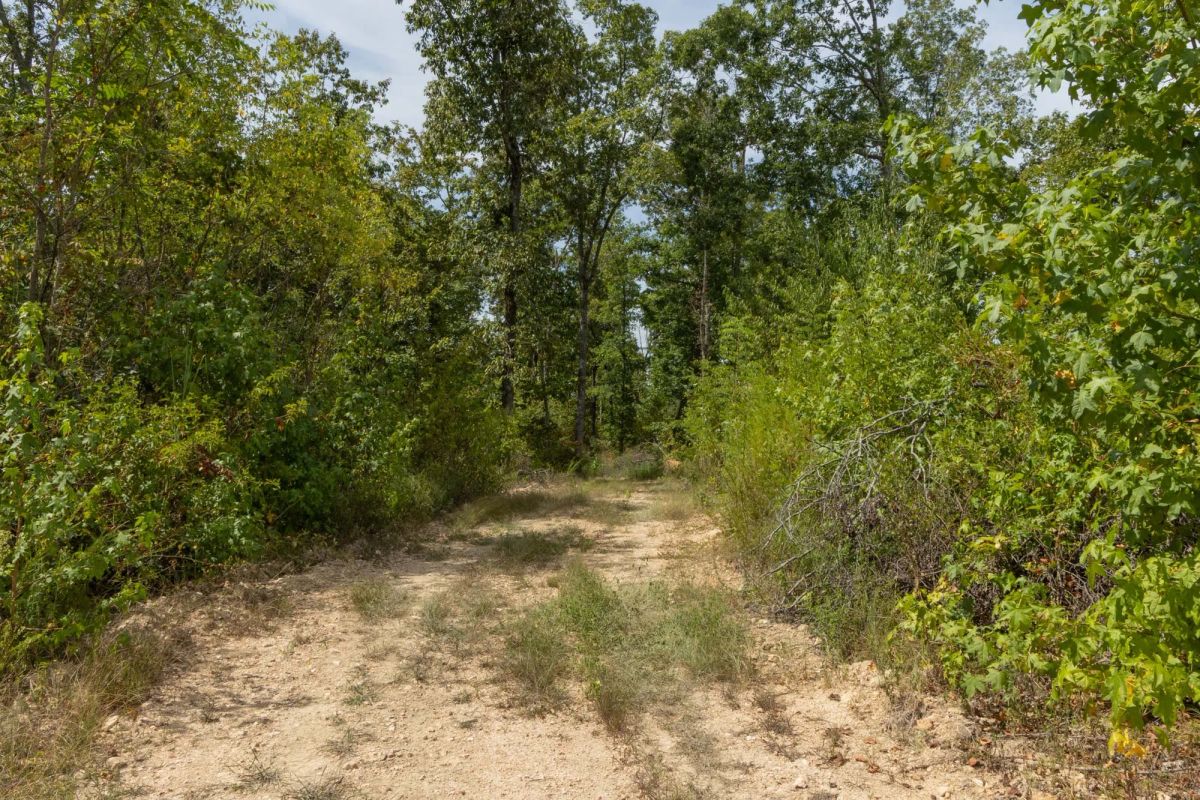 Big White Oak Tract 77 - Main image