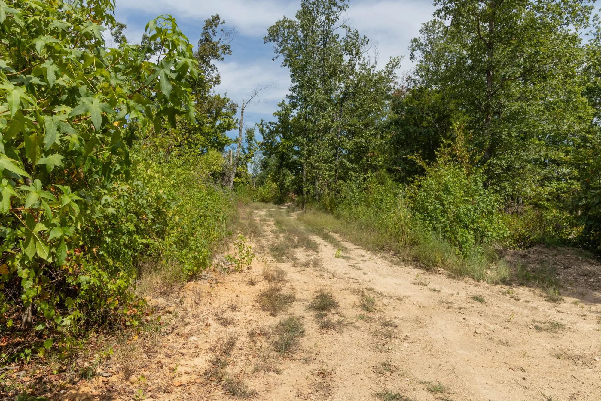 Big White Oak Tract 77 in Perry County, TN