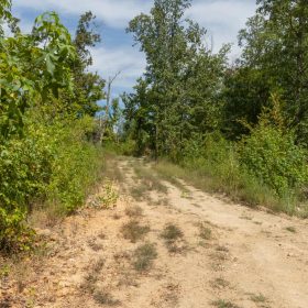 Big White Oak Tract 77 in Perry County, TN