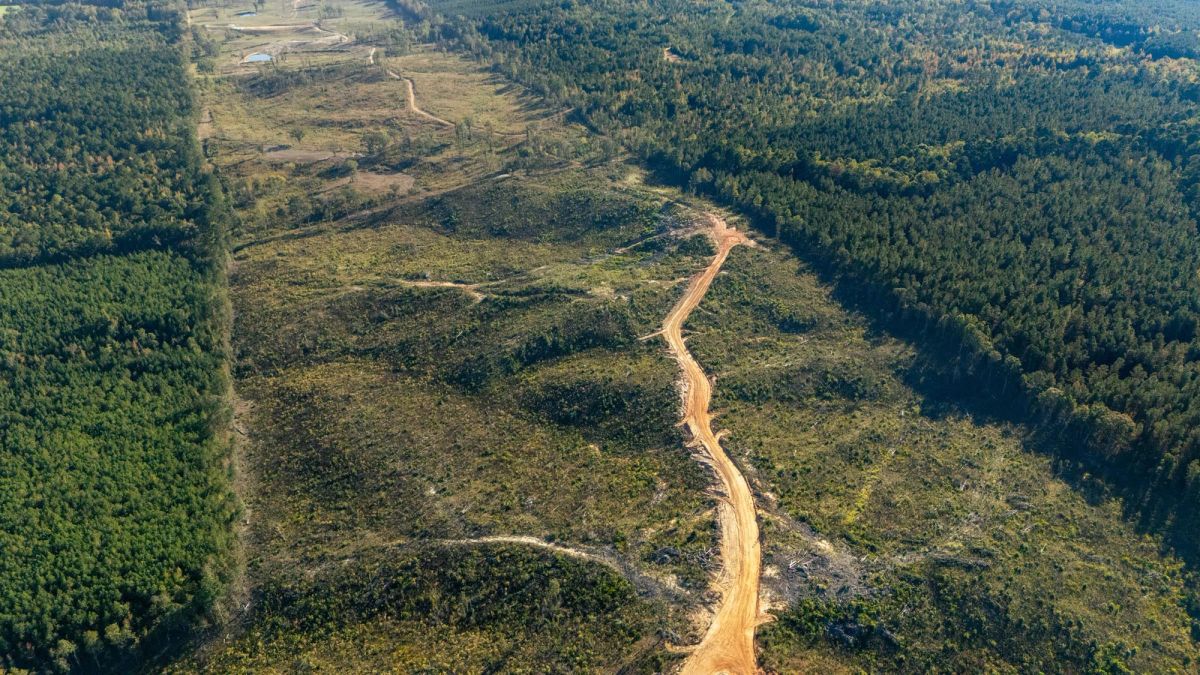 Meyer’s Ridge Tract 38 - Main image