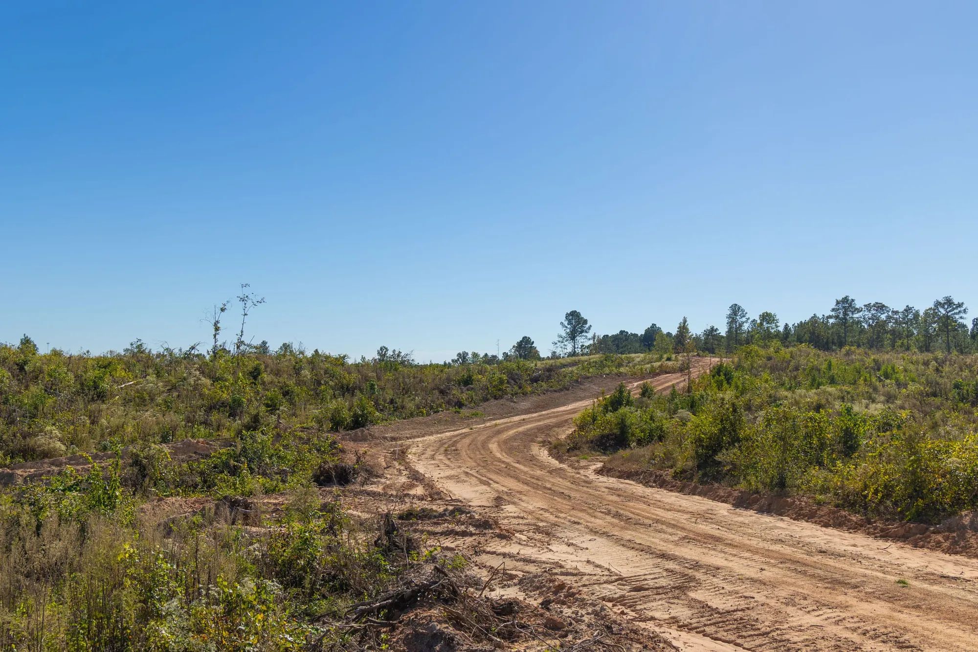 Meyer’s Ridge Tract 38 in Attala County, MS