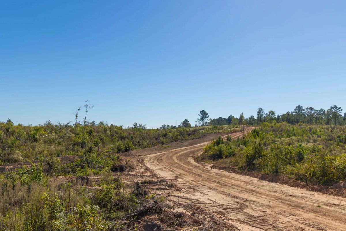 Meyer’s Ridge Tract 38 - Image 2