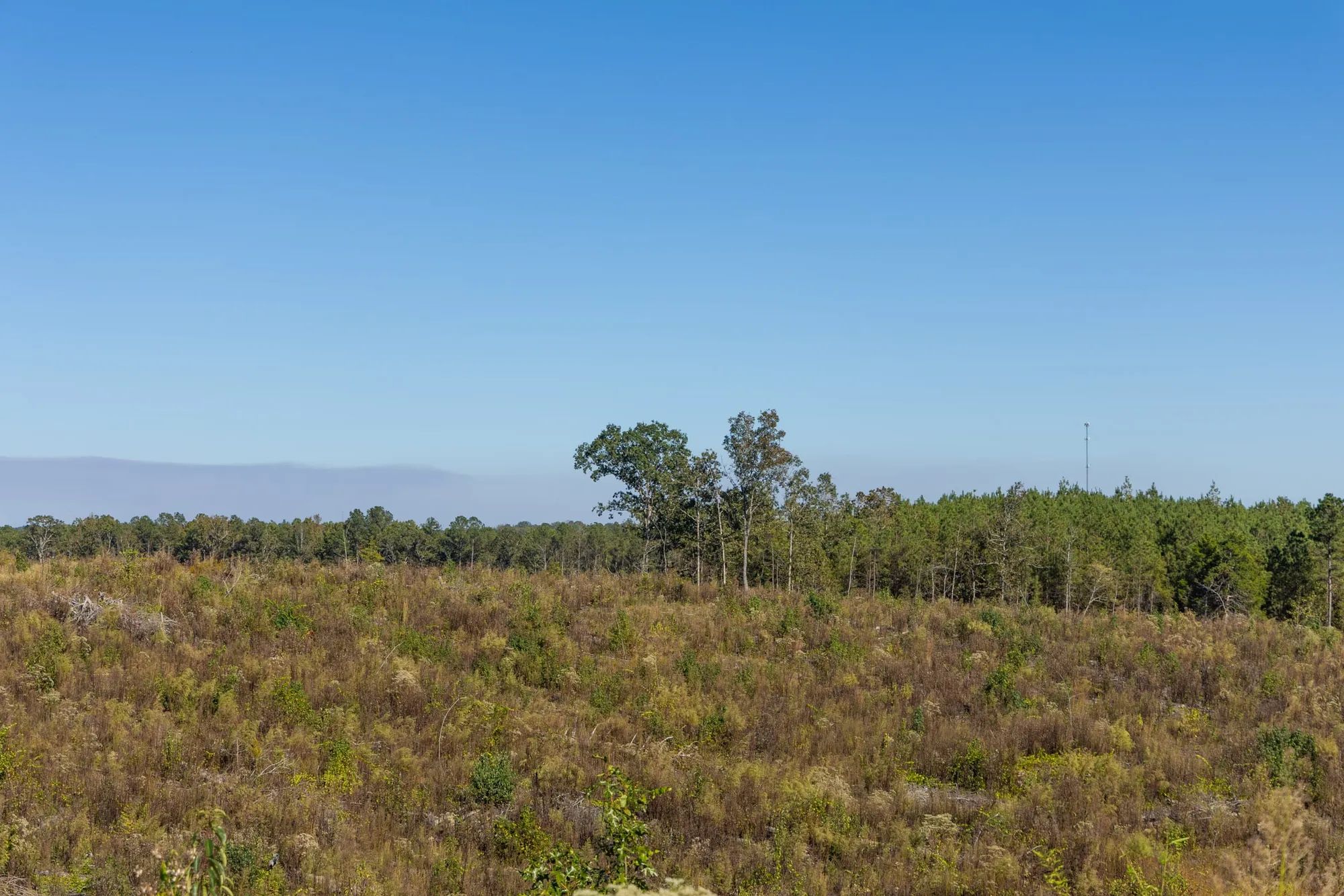 Meyer’s Ridge Tract 38 in Attala County, MS