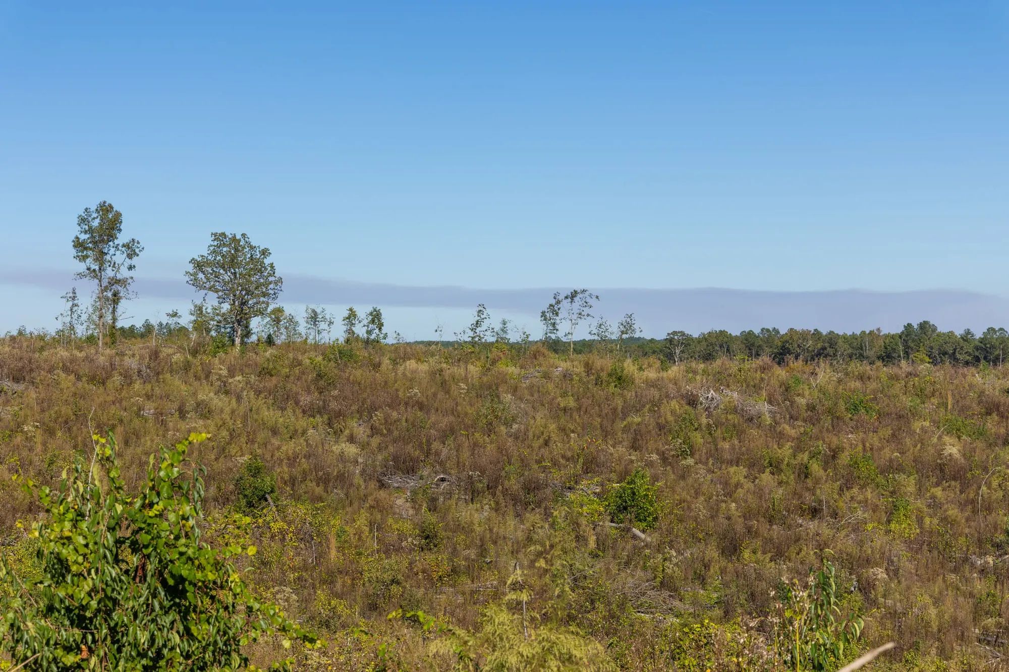 Meyer’s Ridge Tract 38 in Attala County, MS