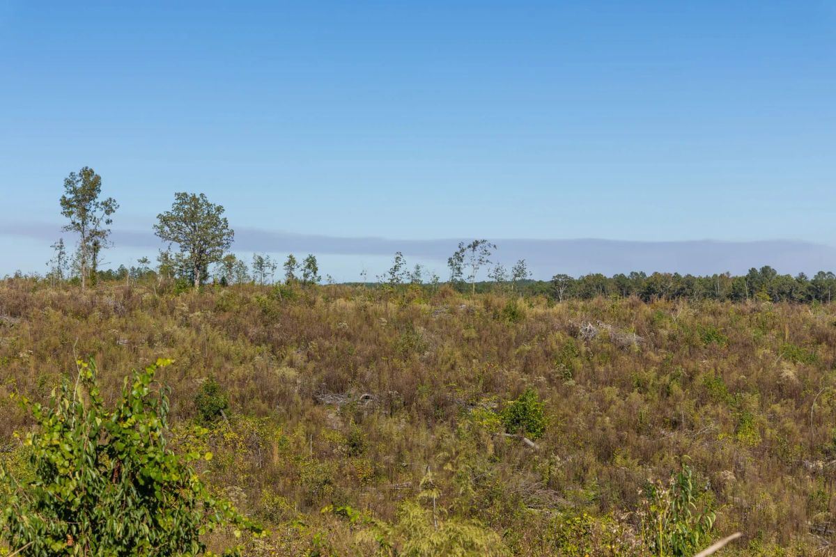 Meyer’s Ridge Tract 38 - Image 4