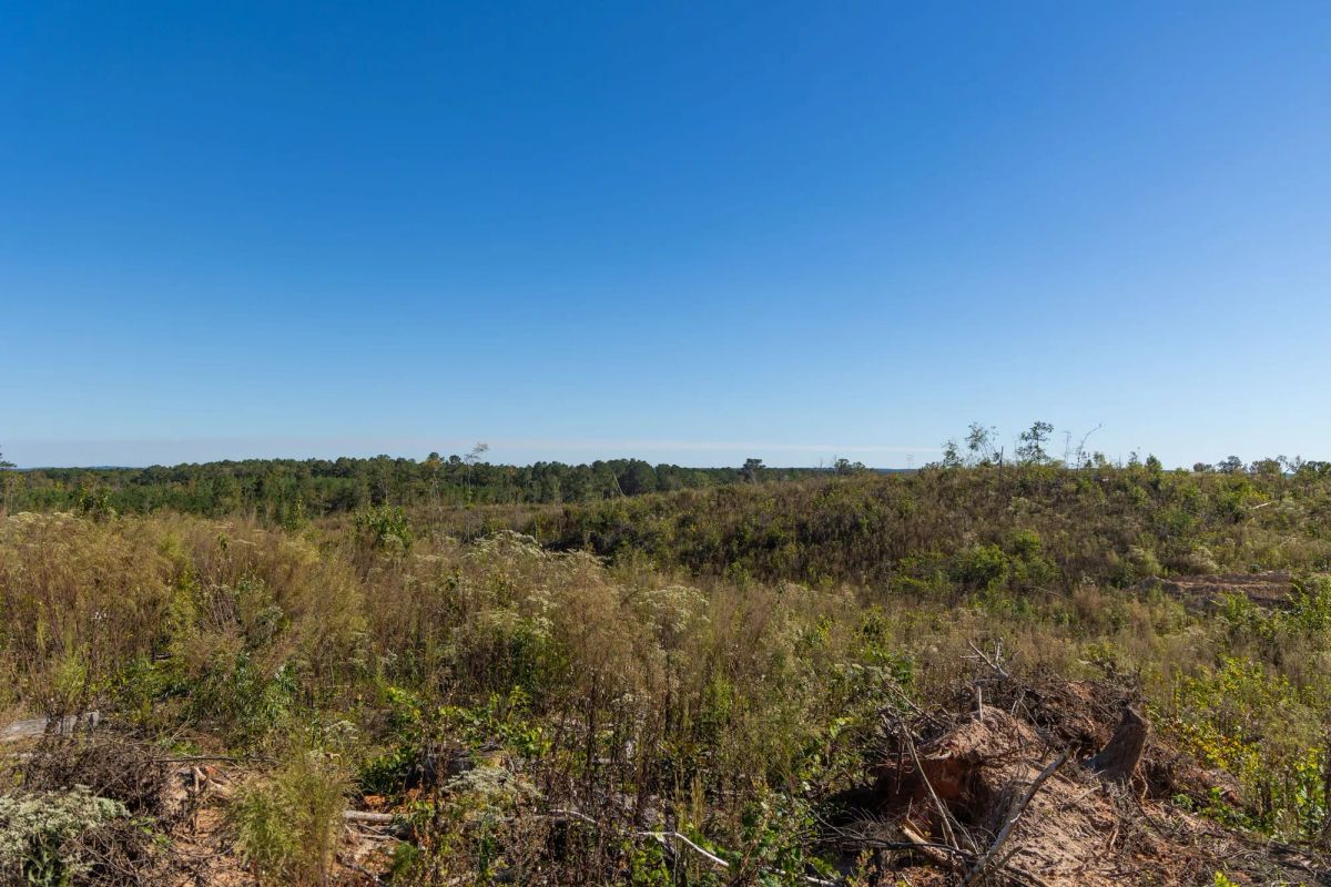 Decorative background for Meyer’s Ridge Tract 38 image 5