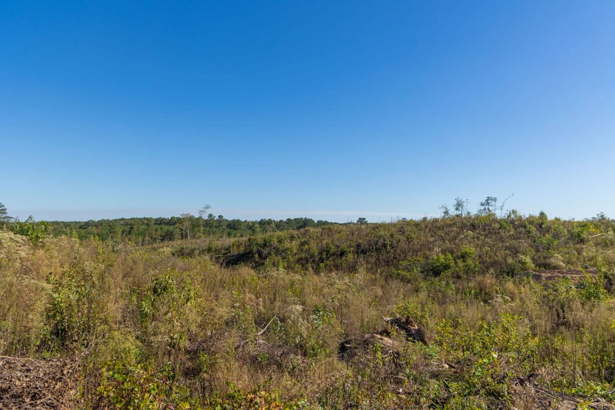 Decorative background for Meyer’s Ridge Tract 38 image 7