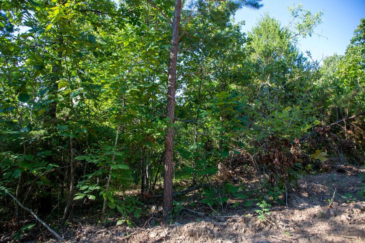 Tyler Stone Ranch Tract 32 - Image 2