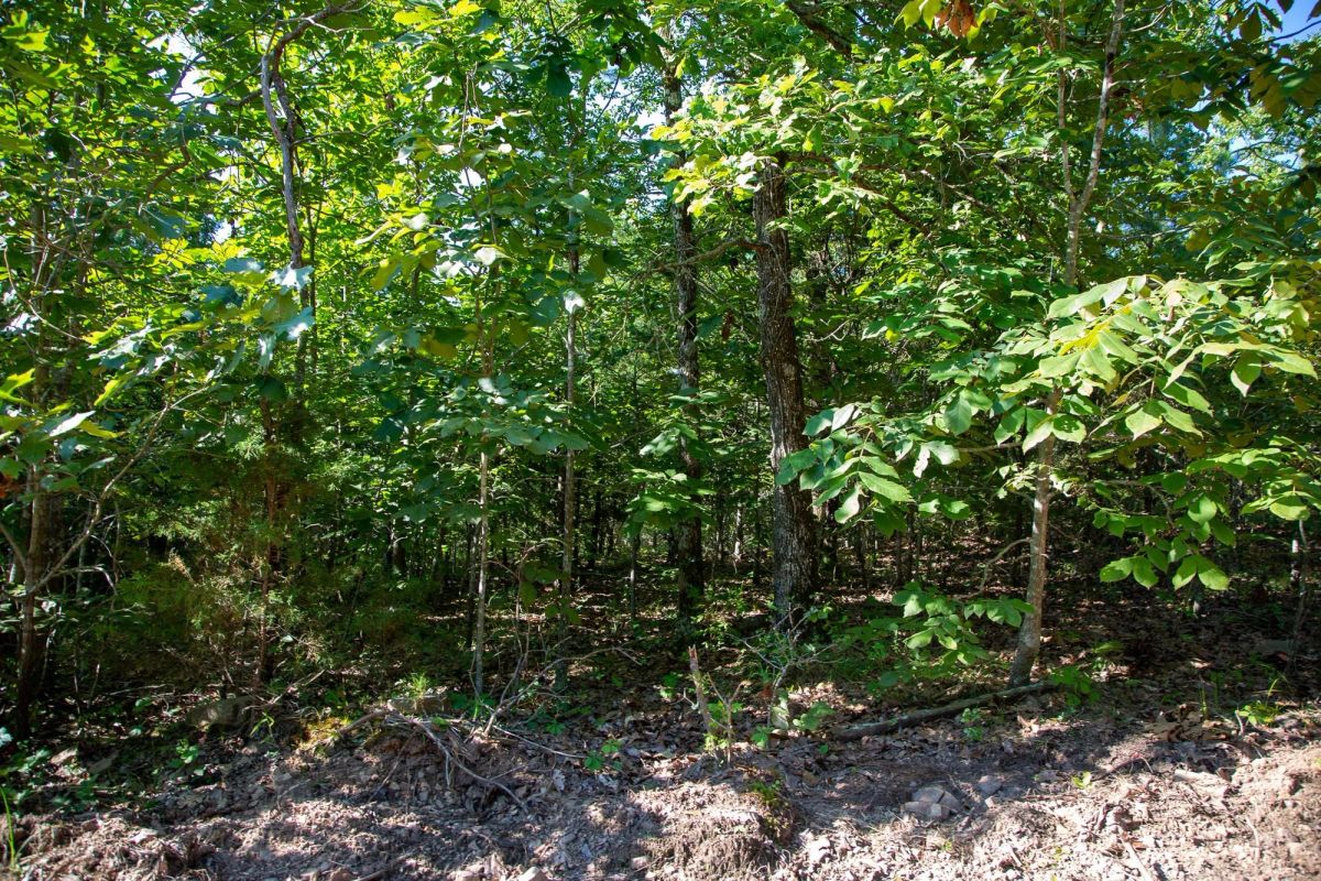 Tyler Stone Ranch Tract 32 - Image 3