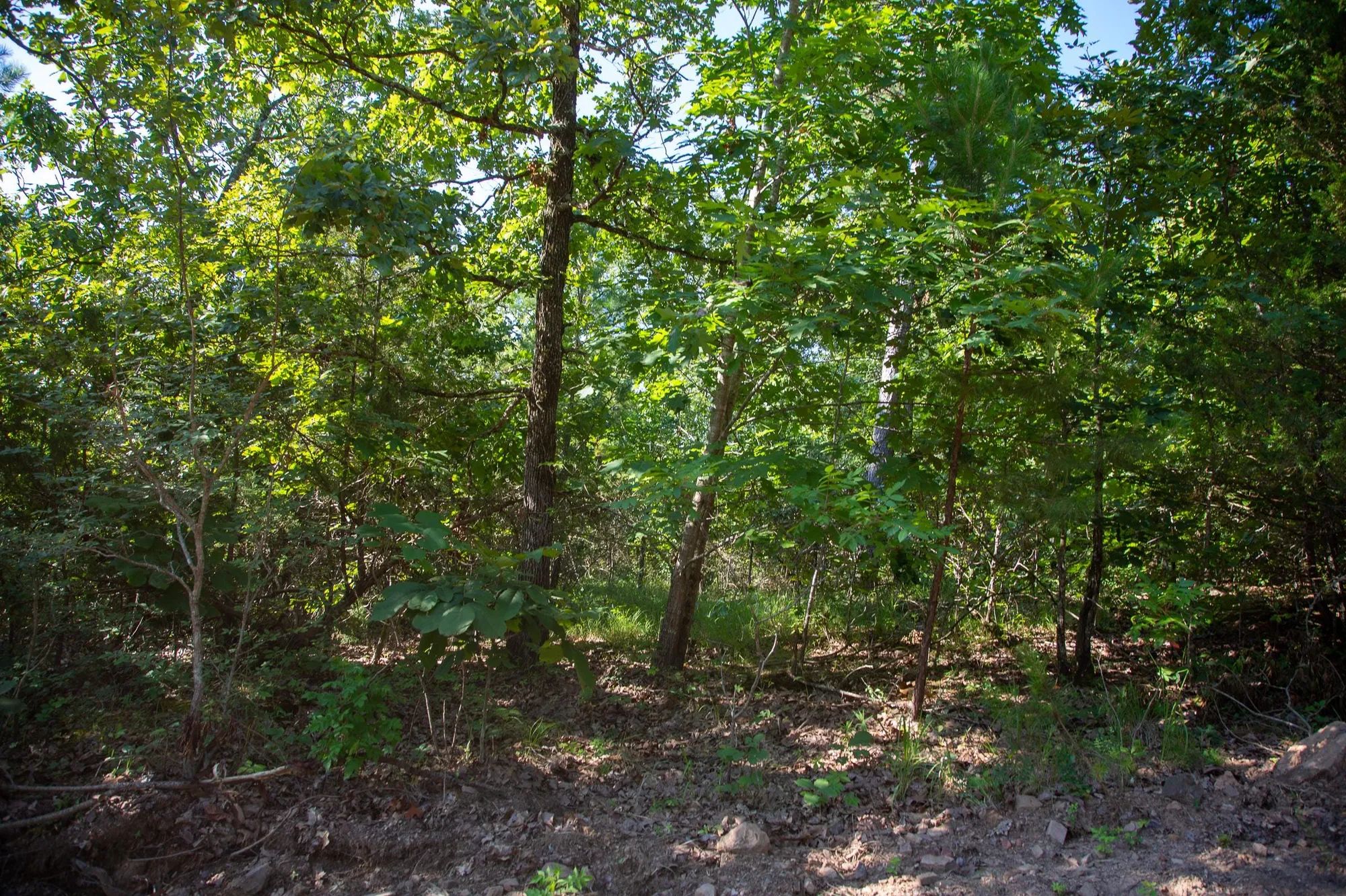 Tyler Stone Ranch Tract 32 in Le Flore County, OK