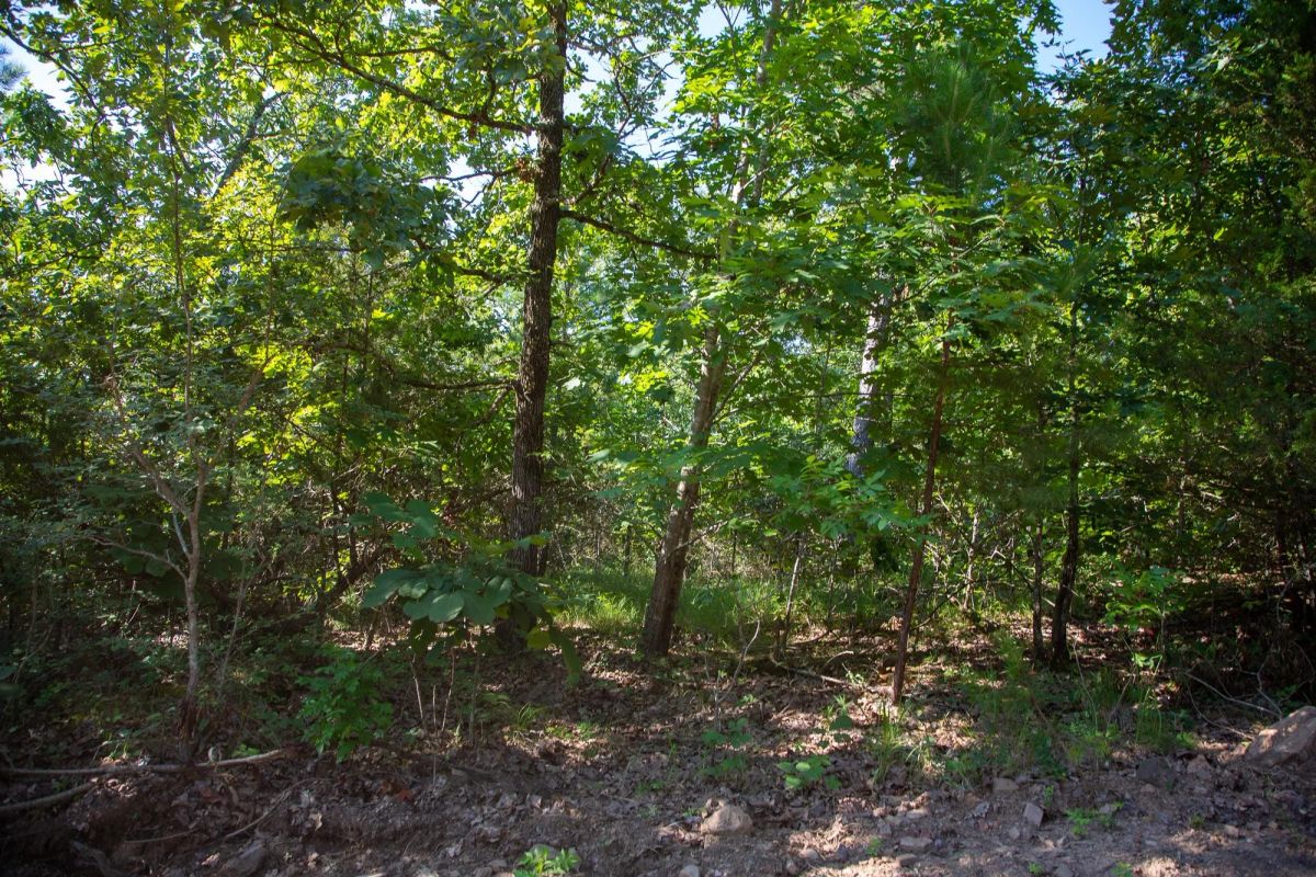 Tyler Stone Ranch Tract 32 - Image 4