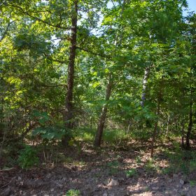 Tyler Stone Ranch Tract 32 in Le Flore County, OK