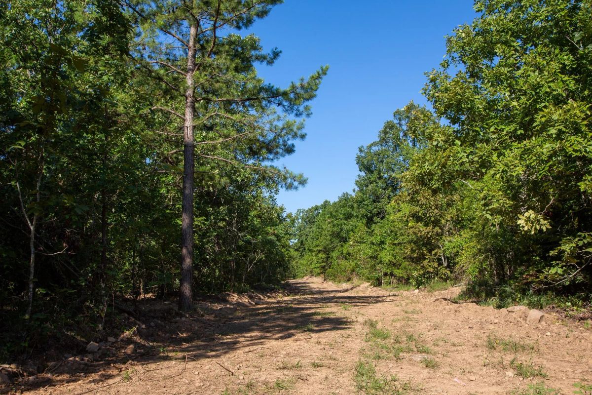 Decorative background for Tyler Stone Ranch Tract 32 image 5
