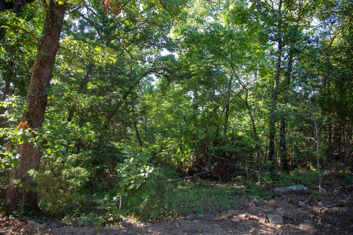 Decorative background for Tyler Stone Ranch Tract 32 image 6