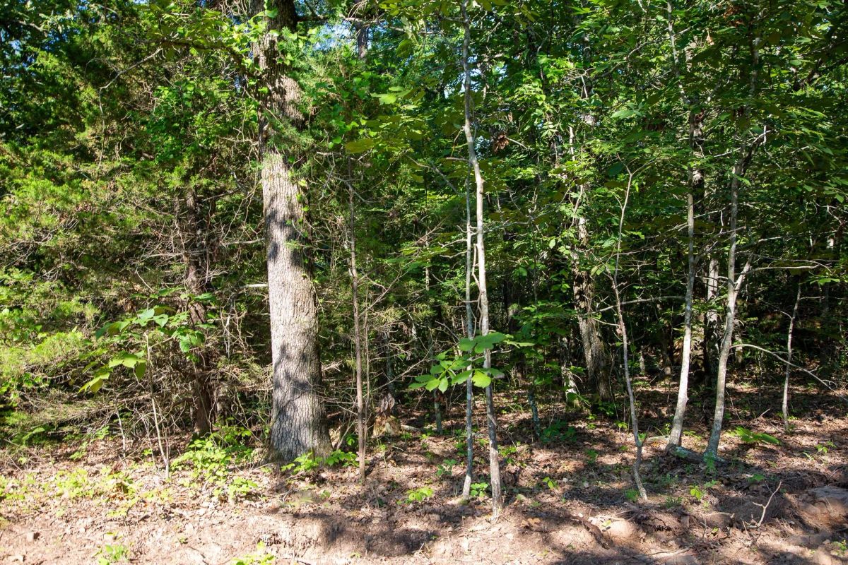 Decorative background for Tyler Stone Ranch Tract 32 image 7