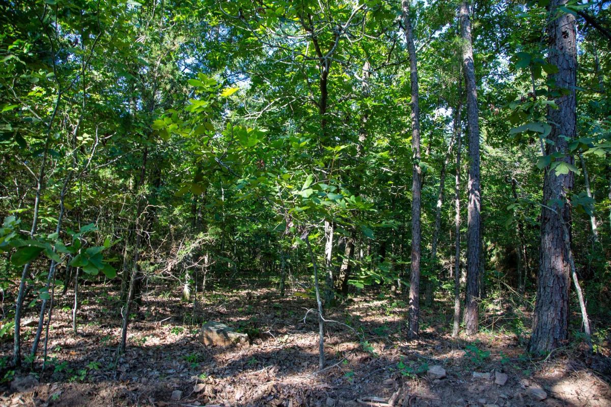 Decorative background for Tyler Stone Ranch Tract 32 image 8