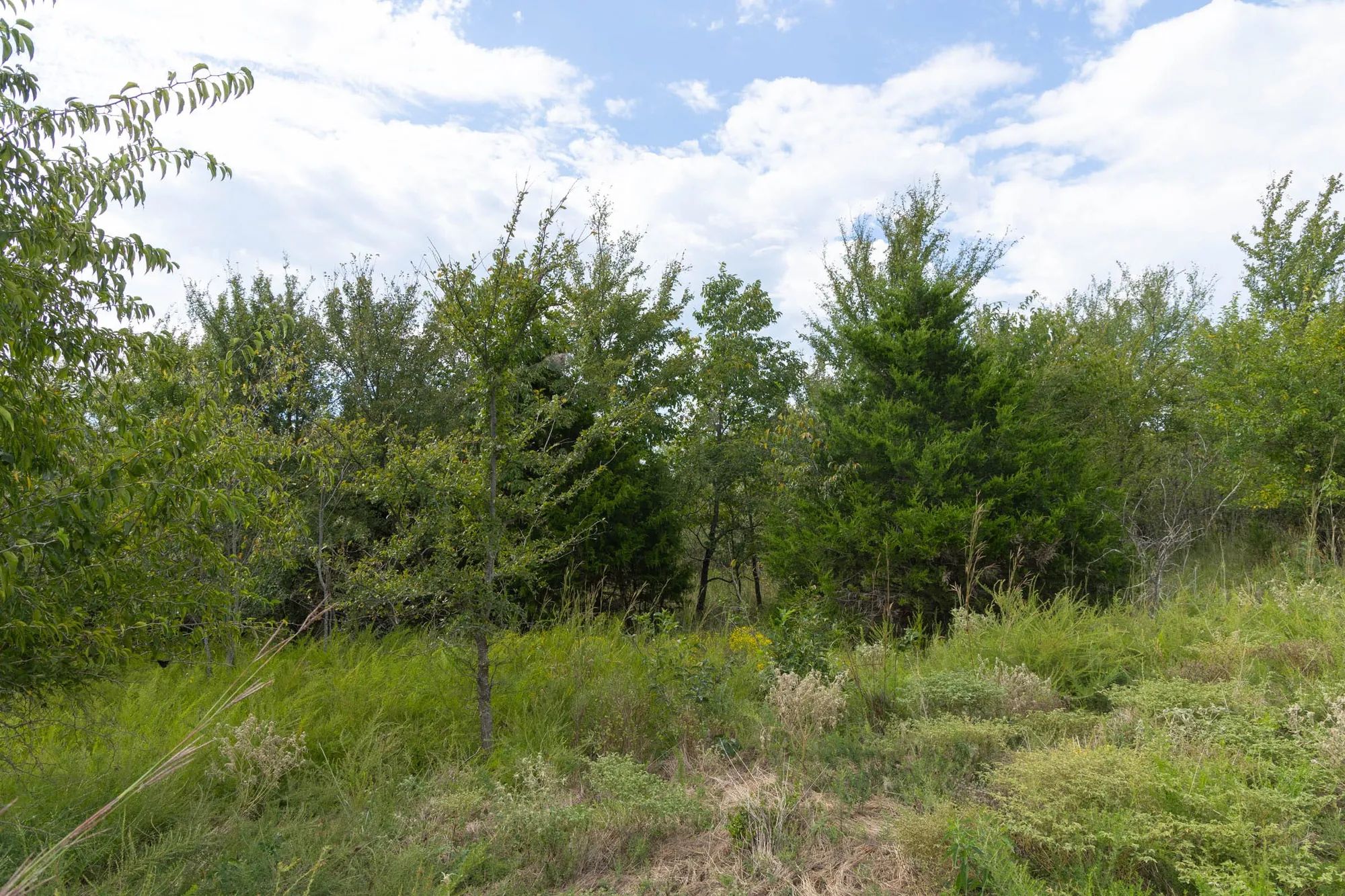 Reserves At Cattail Cove Phase II Tract 102 in Pittsburg County, OK