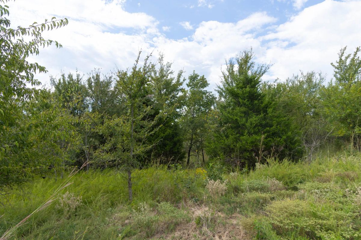 Reserves At Cattail Cove Phase II Tract 102 - Image 4