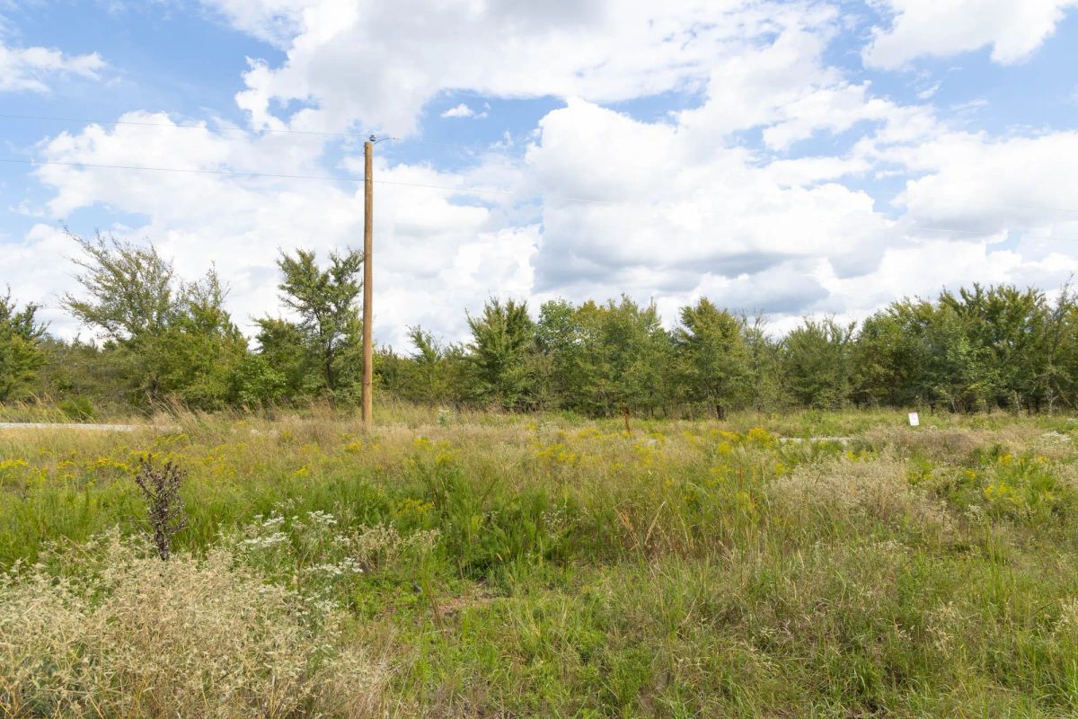 Decorative background for Reserves At Cattail Cove Phase II Tract 102 image 6