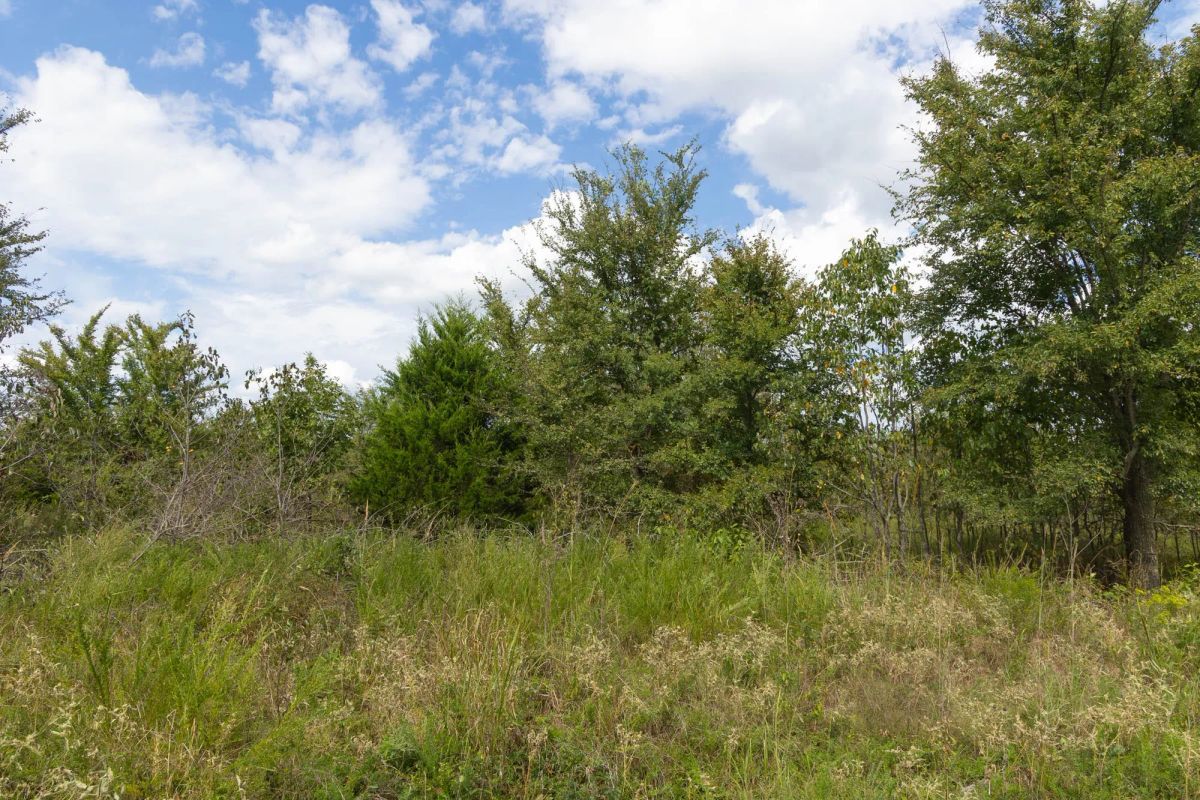 Decorative background for Reserves At Cattail Cove Phase II Tract 102 image 7