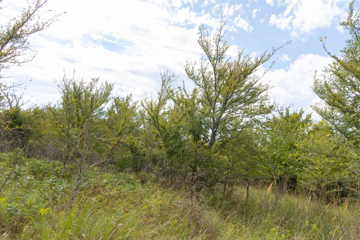 Decorative background for Reserves At Cattail Cove Phase II Tract 102 image 9