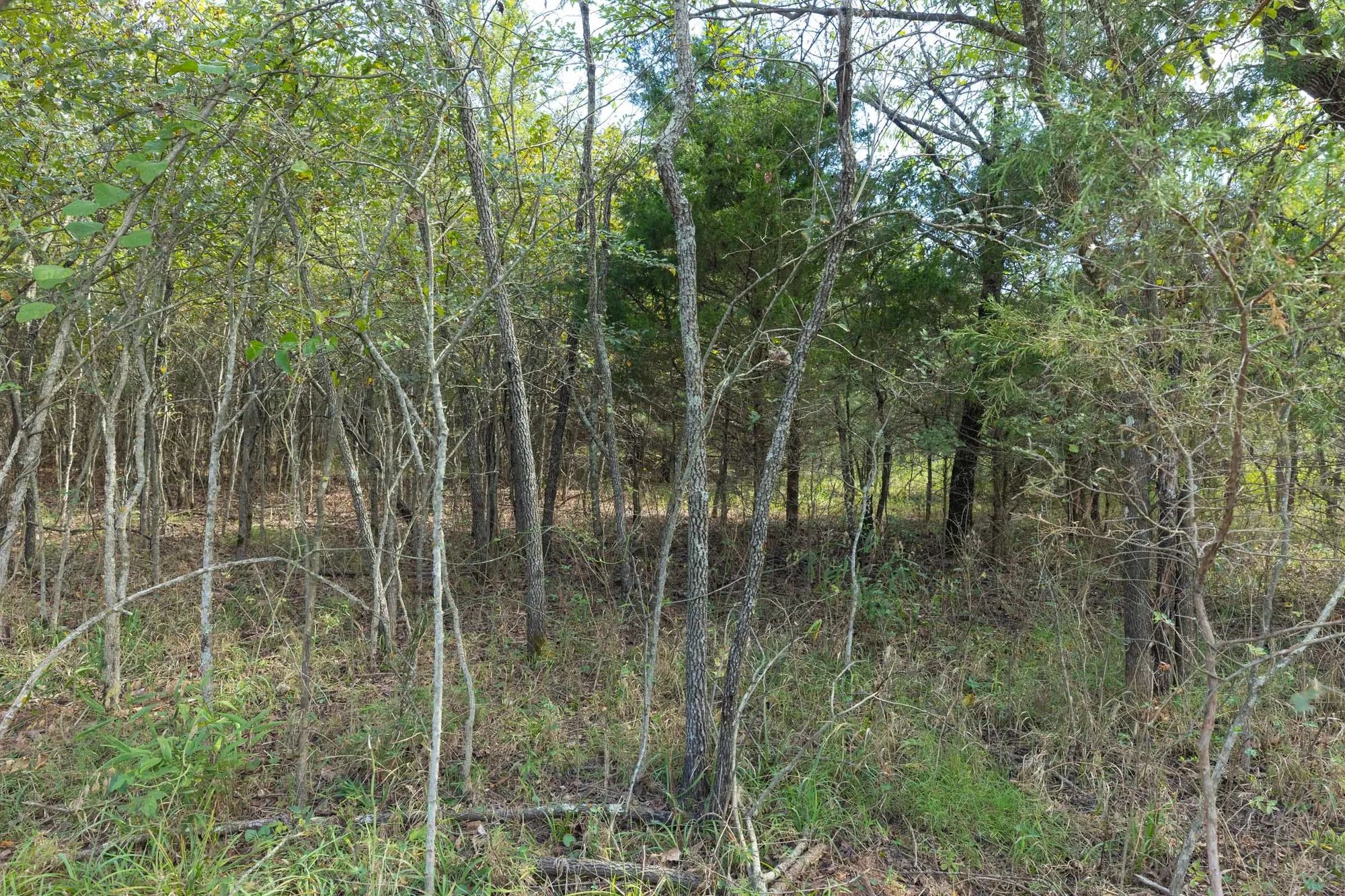 Reserves At Cattail Cove Phase II Tract 74 in Pittsburg County, OK