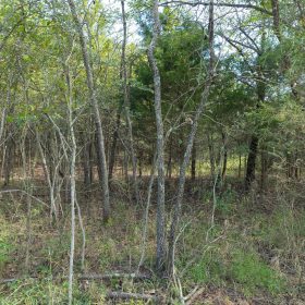 Reserves At Cattail Cove Phase II Tract 74 in Pittsburg County, OK