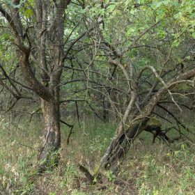 Reserves At Cattail Cove Phase II Tract 74 in Pittsburg County, OK