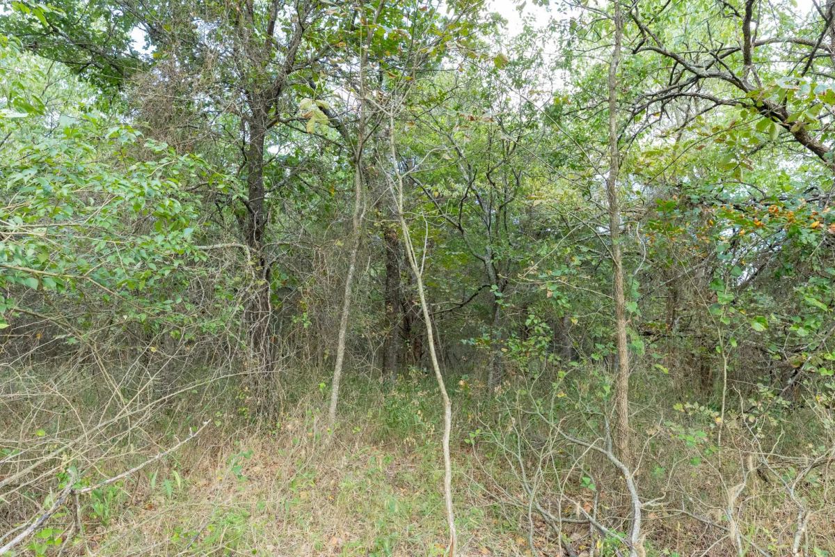 Decorative background for Reserves At Cattail Cove Phase II Tract 74 image 5
