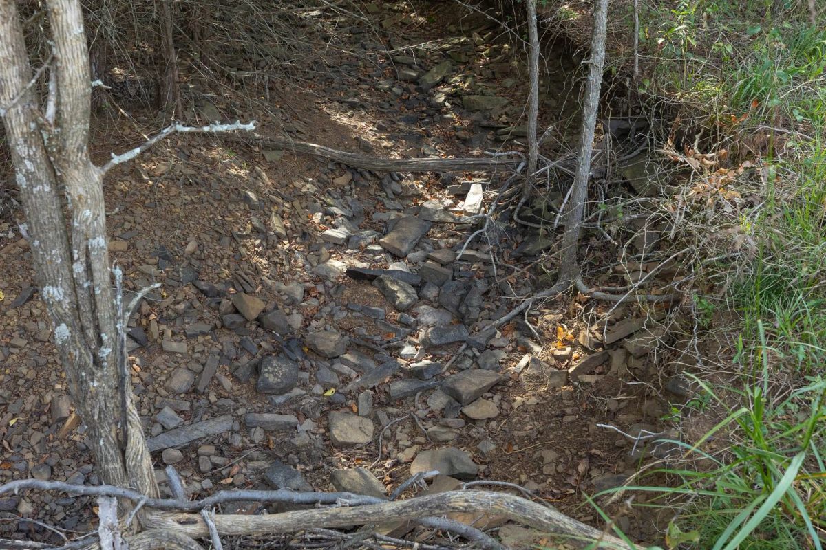 Decorative background for Reserves At Cattail Cove Phase II Tract 74 image 8