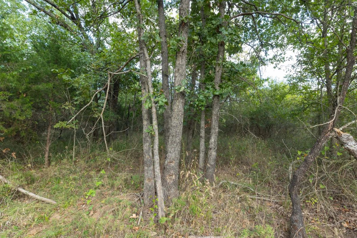 Decorative background for Reserves At Cattail Cove Phase II Tract 74 image 10