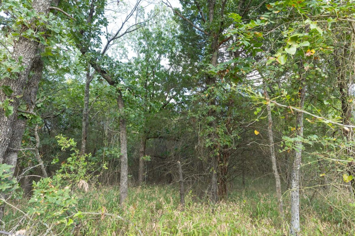 Decorative background for Reserves At Cattail Cove Phase II Tract 74 image 11