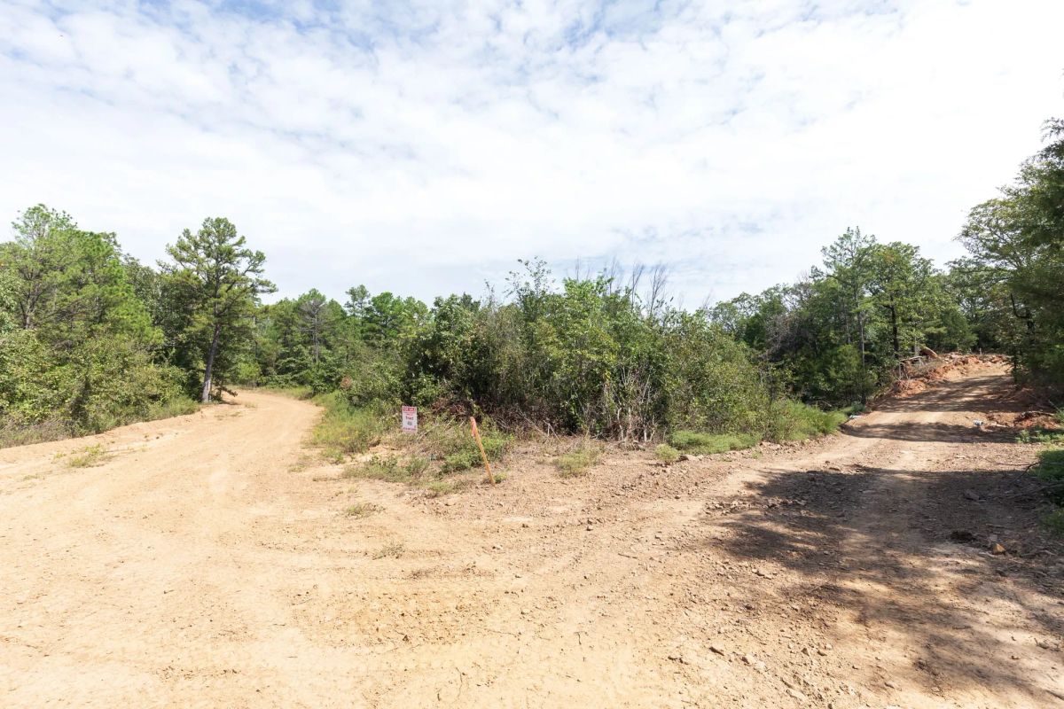 Decorative background for Stone Bridge Phase V Tract 406 image 6