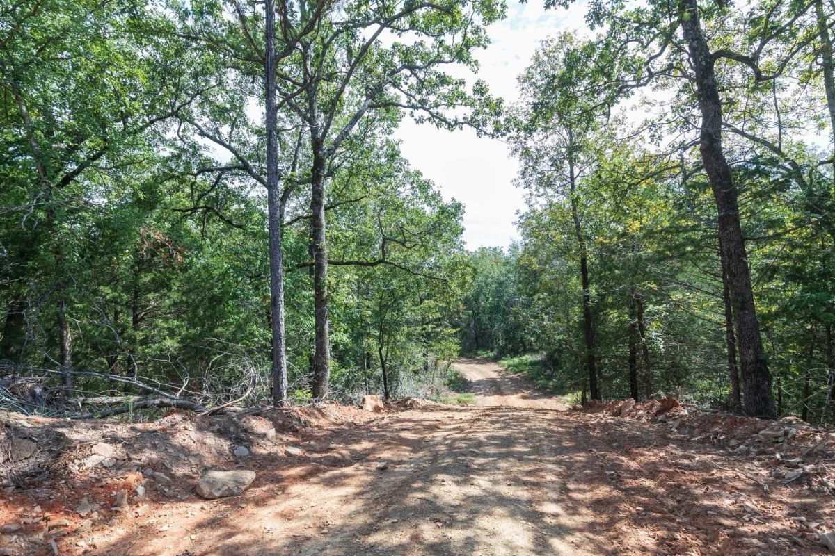 Decorative background for Stone Bridge Phase V Tract 406 image 7