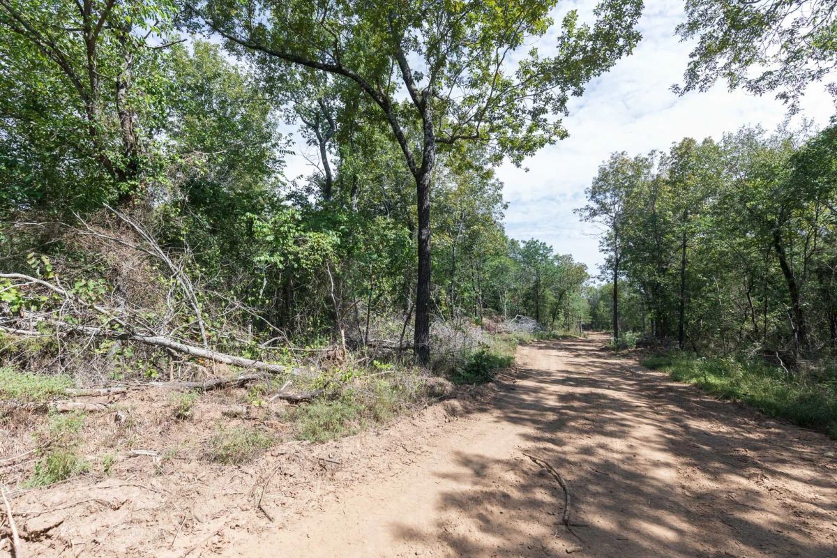 Decorative background for Stone Bridge Phase V Tract 406 image 8