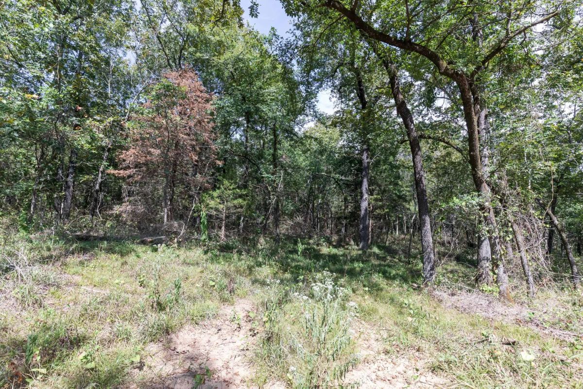 Decorative background for Stone Bridge Phase V Tract 406 image 9