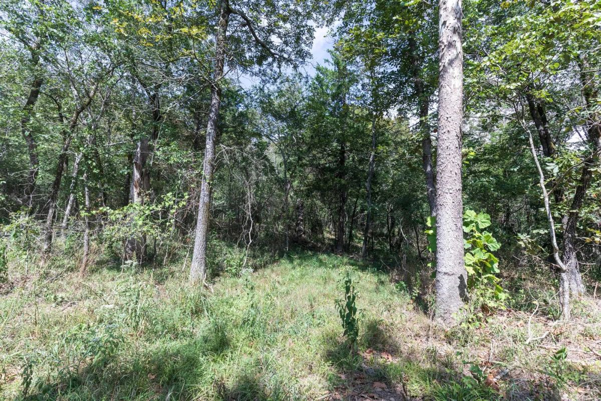 Decorative background for Stone Bridge Phase V Tract 406 image 11